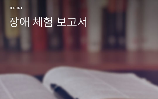 장애 체험 보고서