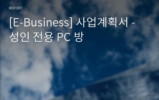 [E-Business] 사업계획서 - 성인 전용 PC 방