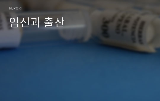 임신과 출산