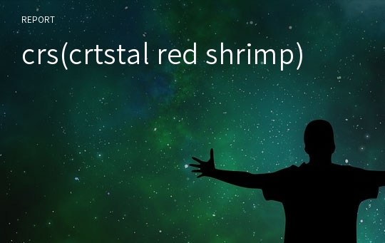 crs(crtstal red shrimp)