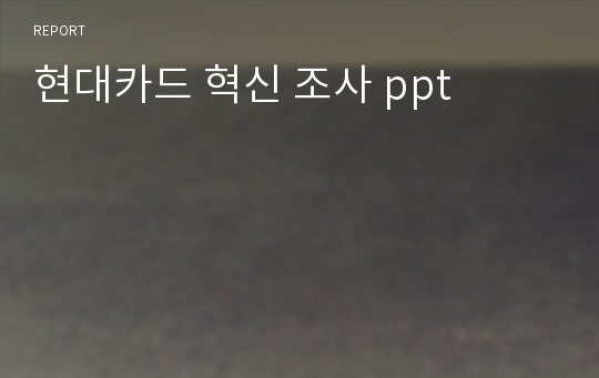 현대카드 혁신 조사 ppt