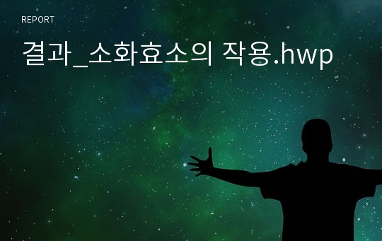 결과_소화효소의 작용.hwp