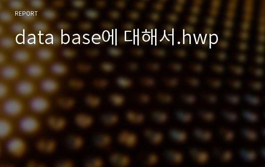 data base에 대해서.hwp