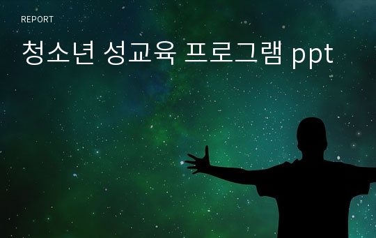 청소년 성교육 프로그램 ppt