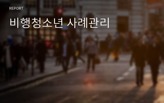 비행청소년 사례관리