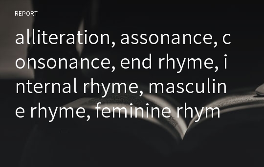 alliteration, assonance, consonance, end rhyme, internal rhyme, masculine rhyme, feminine rhyme