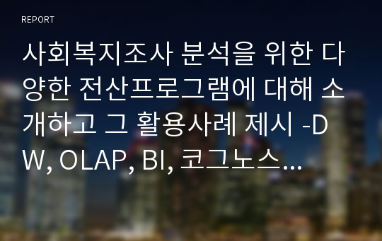 사회복지조사 분석을 위한 다양한 전산프로그램에 대해 소개하고 그 활용사례 제시 -DW, OLAP, BI, 코그노스 시스템 활용사례