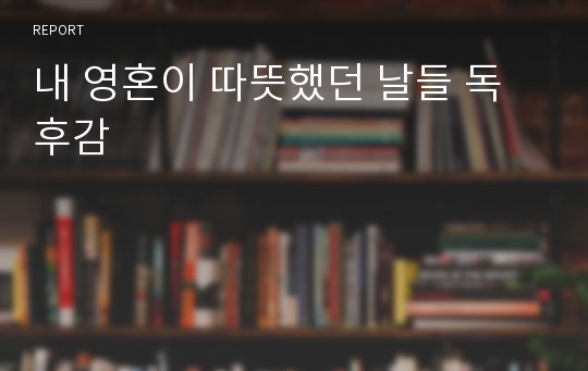 내 영혼이 따뜻했던 날들 독후감