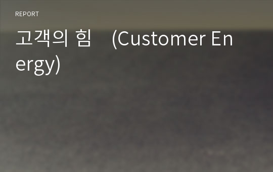 고객의 힘    (Customer Energy)