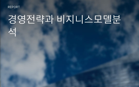 경영전략과 비지니스모델분석