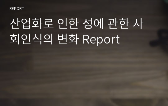 산업화로 인한 성에 관한 사회인식의 변화 Report