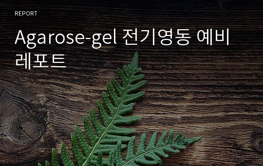 Agarose-gel 전기영동 예비레포트