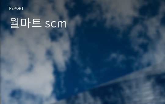 월마트 scm