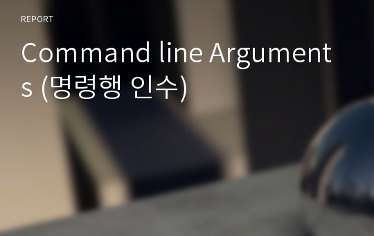 Command line Arguments (명령행 인수)