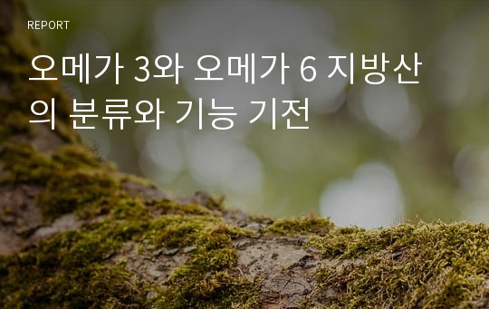 오메가 3와 오메가 6 지방산의 분류와 기능 기전