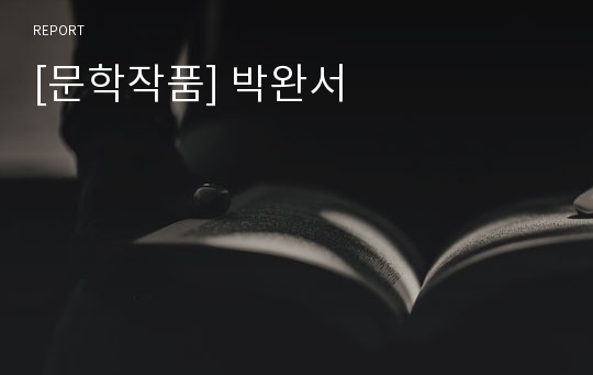 [문학작품] 박완서