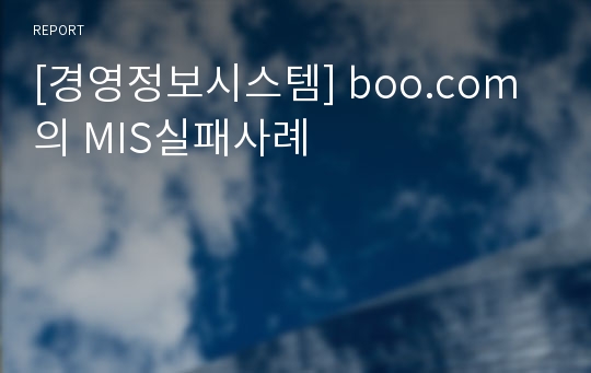 [경영정보시스템] boo.com의 MIS실패사례