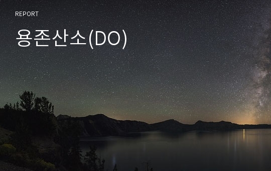 용존산소(DO)