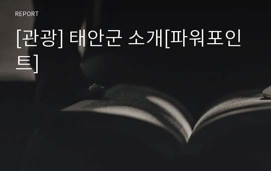 [관광] 태안군 소개[파워포인트]