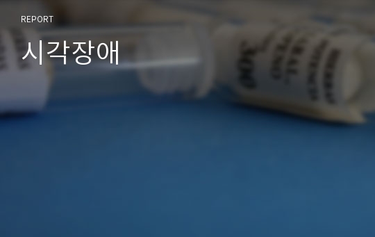 시각장애