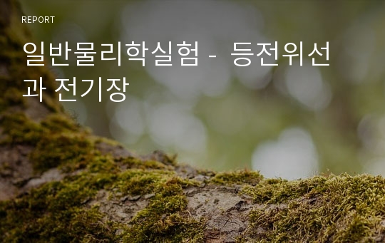 일반물리학실험 -  등전위선과 전기장