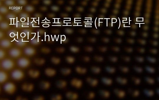파일전송프로토콜(FTP)란 무엇인가.hwp