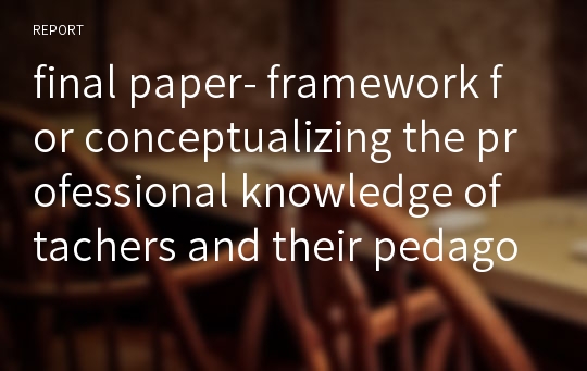 final paper- framework for conceptualizing the professional knowledge of tachers and their pedagogic strategies,