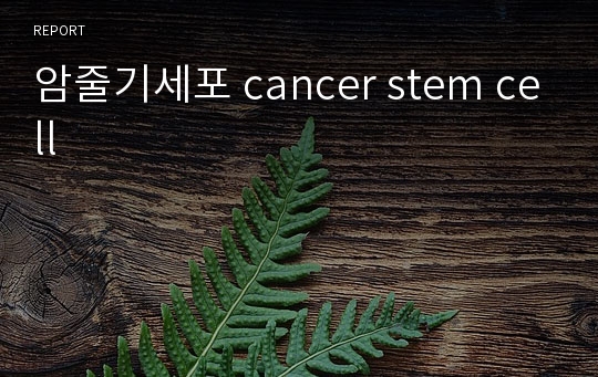 암줄기세포 cancer stem cell