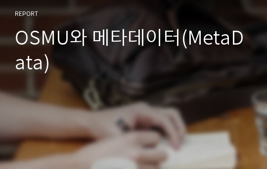 OSMU와 메타데이터(MetaData)