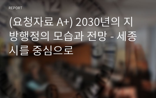 (요청자료 A+) 2030년의 지방행정의 모습과 전망 - 세종시를 중심으로