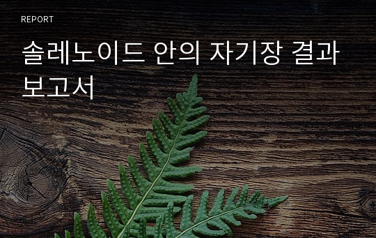 솔레노이드 안의 자기장 결과보고서