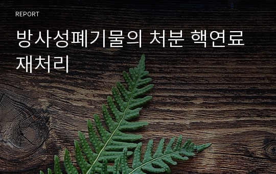 방사성폐기물의 처분 핵연료 재처리