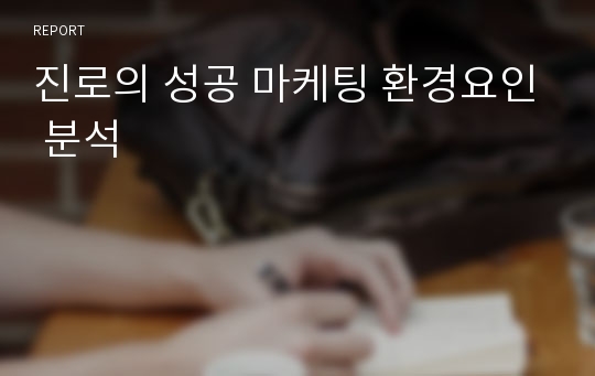 진로의 성공 마케팅 환경요인 분석