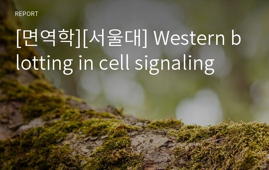 [면역학][서울대] Western blotting in cell signaling