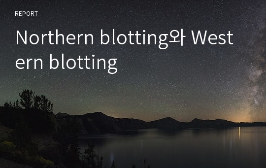 Northern blotting와 Western blotting