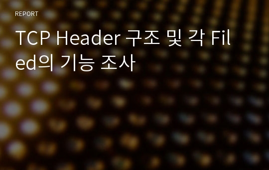 TCP Header 구조 및 각 Filed의 기능 조사