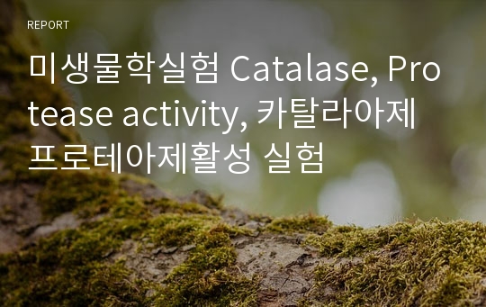 미생물학실험 Catalase, Protease activity, 카탈라아제 프로테아제활성 실험