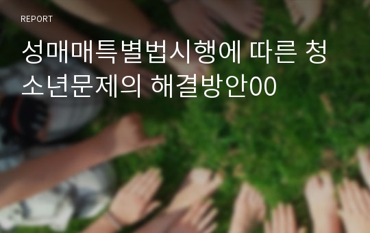 성매매특별법시행에 따른 청소년문제의 해결방안00