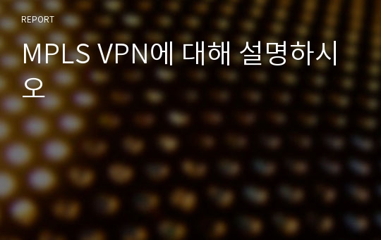 MPLS VPN에 대해 설명하시오