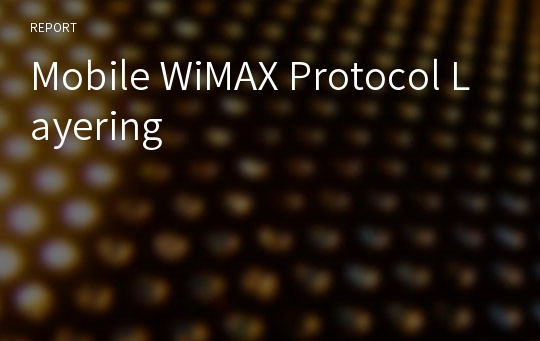 Mobile WiMAX Protocol Layering