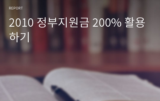 2010 정부지원금 200% 활용하기