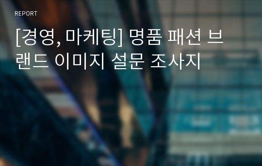 [경영, 마케팅] 명품 패션 브랜드 이미지 설문 조사지