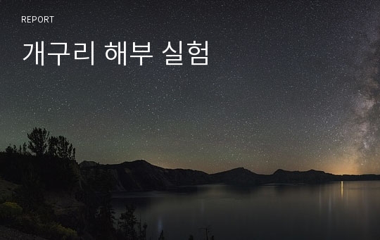 개구리 해부 실험