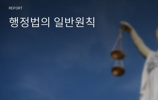 행정법의 일반원칙