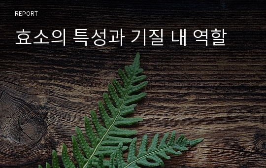 효소의 특성과 기질 내 역할