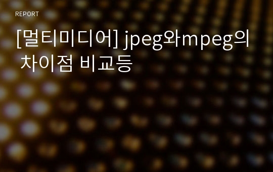 [멀티미디어] jpeg와mpeg의 차이점 비교등