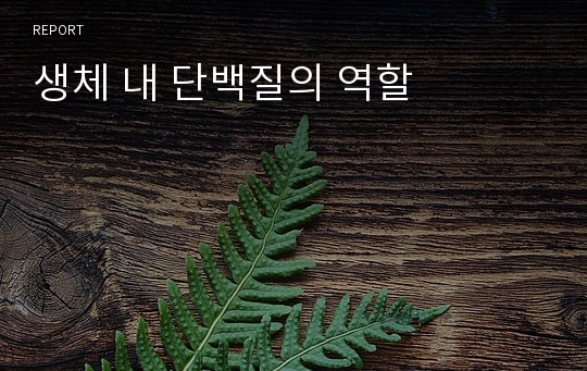 생체 내 단백질의 역할