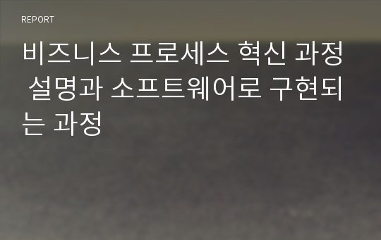 비즈니스 프로세스 혁신 과정 설명과 소프트웨어로 구현되는 과정