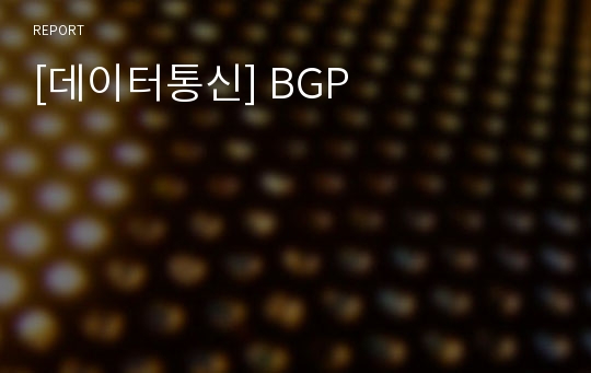 [데이터통신] BGP
