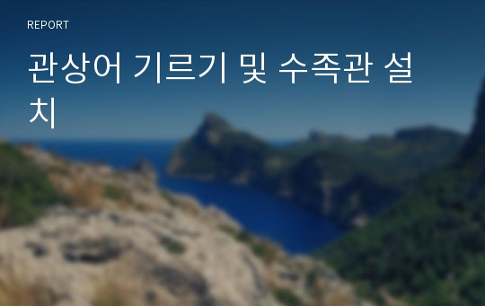 관상어 기르기 및 수족관 설치